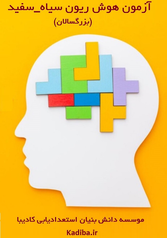puzzle سنجش هوش بزرگسالان ریون - Image 1